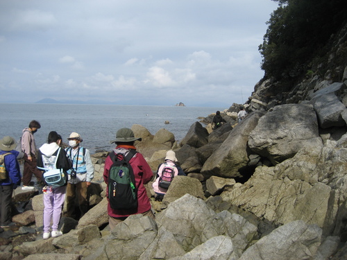 鹿浦越のランプロファイヤ岩脈を見る参加者たち