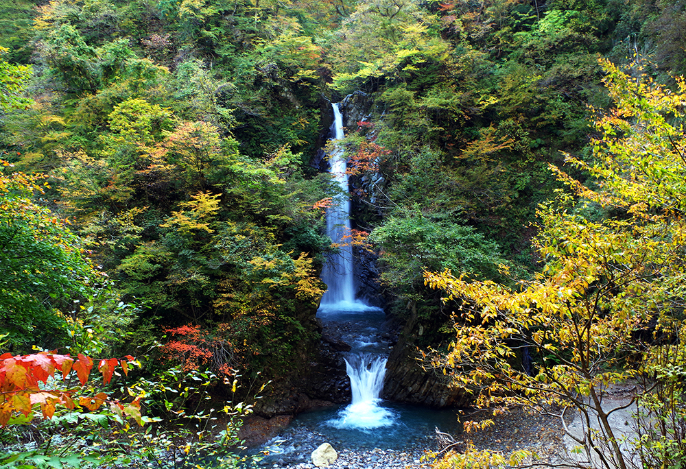 だいせん滝の拡大写真。だいせん滝は1990年に「日本の滝100選」 に選ばれました。以前は三段の滝でしたが、洪水のため二段滝になり、2011年には台風の影響を受けて現在の姿になりました。河原に下りていくとしぶきがかかり、轟音が響く滝を目の前で楽しむことができます。