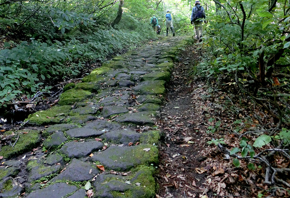 Large Photo:The old histric pilgrim route (Kawadoko Trail)