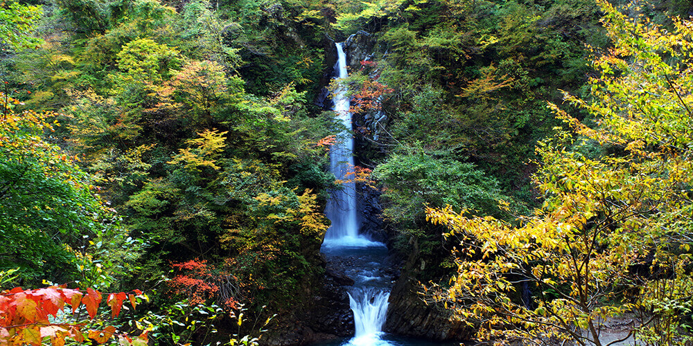 1990年にだいせん滝は「日本の滝100選」 に選ばれました。また、約400年前につくられたかわどこみちは、おだかみちやよこてみちと共に、だいせんの古い参詣道の1つです。だいせん滝とだいせんこどうのページに移動。