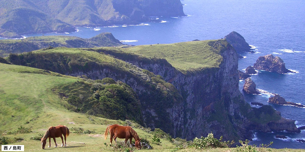 くにがかいがんは西ノ島の西側に広がっており、かいしょくがいや興味深い岩石が見られる隠岐諸島の中で最も美しい場所の一つです。くにがかいがんの崖の上では牛や馬が放牧され、牧歌的な風景となっています。くにがかいがんのページに移動。