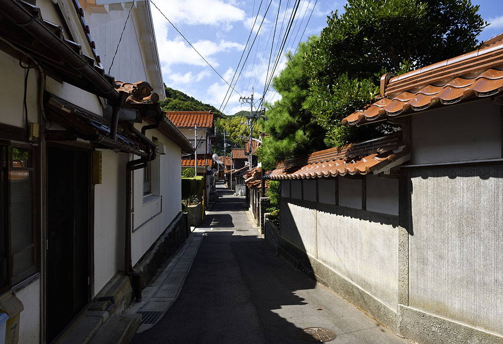 Large Photo:The town with red sekishu tiled roofs