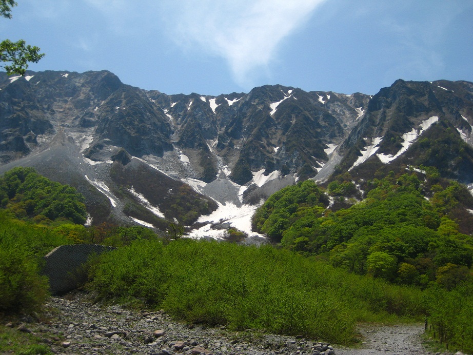 残雪と新緑の大山