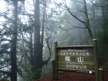 篠山　看板