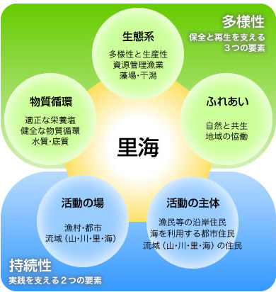 生態系、物質循環、ふれあい、活動の場、活動の主体