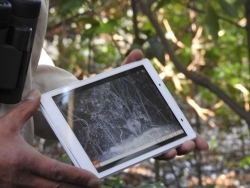 フィールドカメラにも映ってます