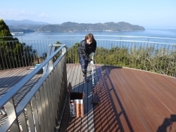 広範囲はローラーで