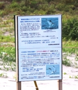 看板