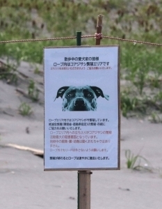 看板