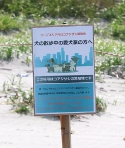 看板