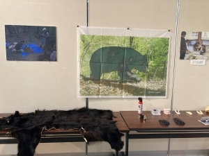 キット