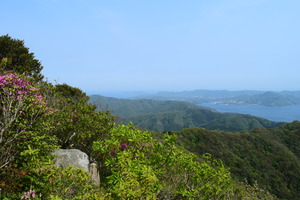 高崎山