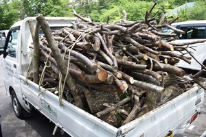 トラックの荷台にあふれんばかりに積まれた切り出された木々