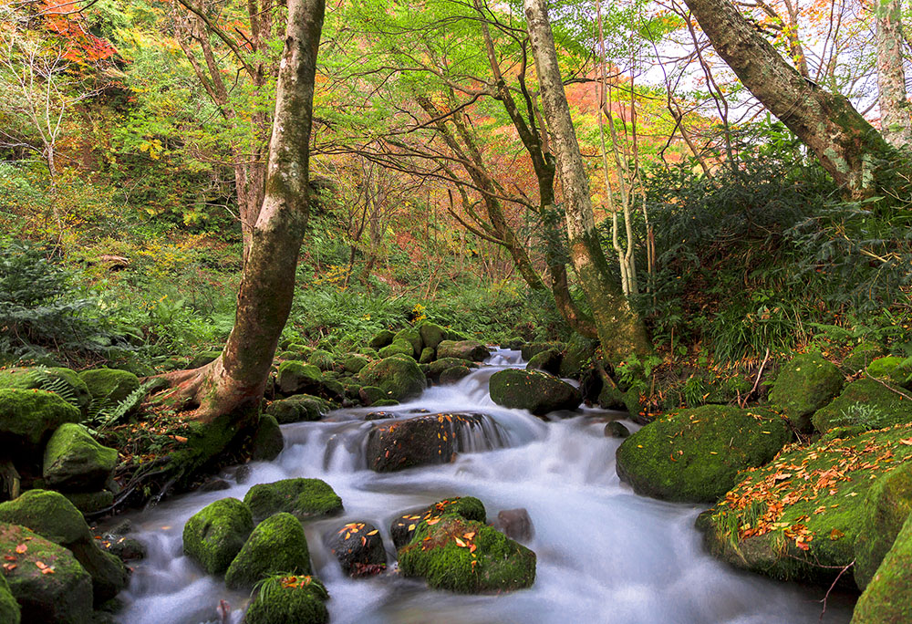 Large Photo:Kidanizawa mountain stream