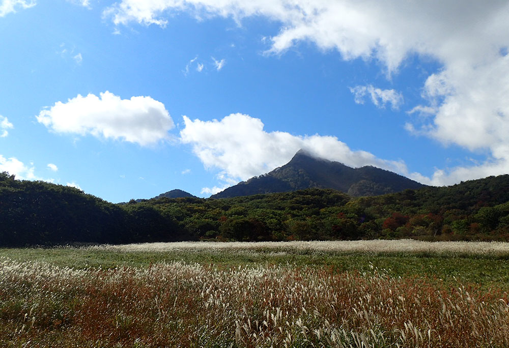 Large Photo:Fields of Japanese silver grass in Kagamiganaru