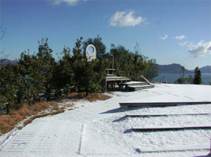 珍しい雪景色の大久野島