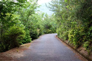 大久野島展望台への散策道