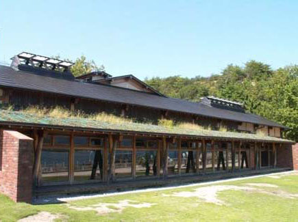 屋根材と一体になっている太陽電池