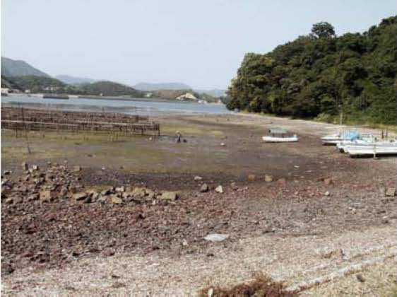 大三島も紅葉しています